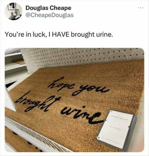 meme dump, hilarious memes