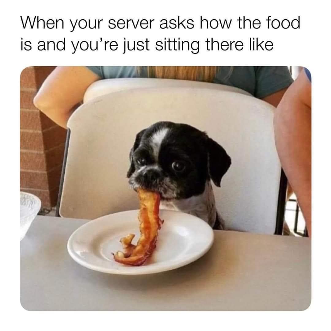 meme dump, hilarious memes