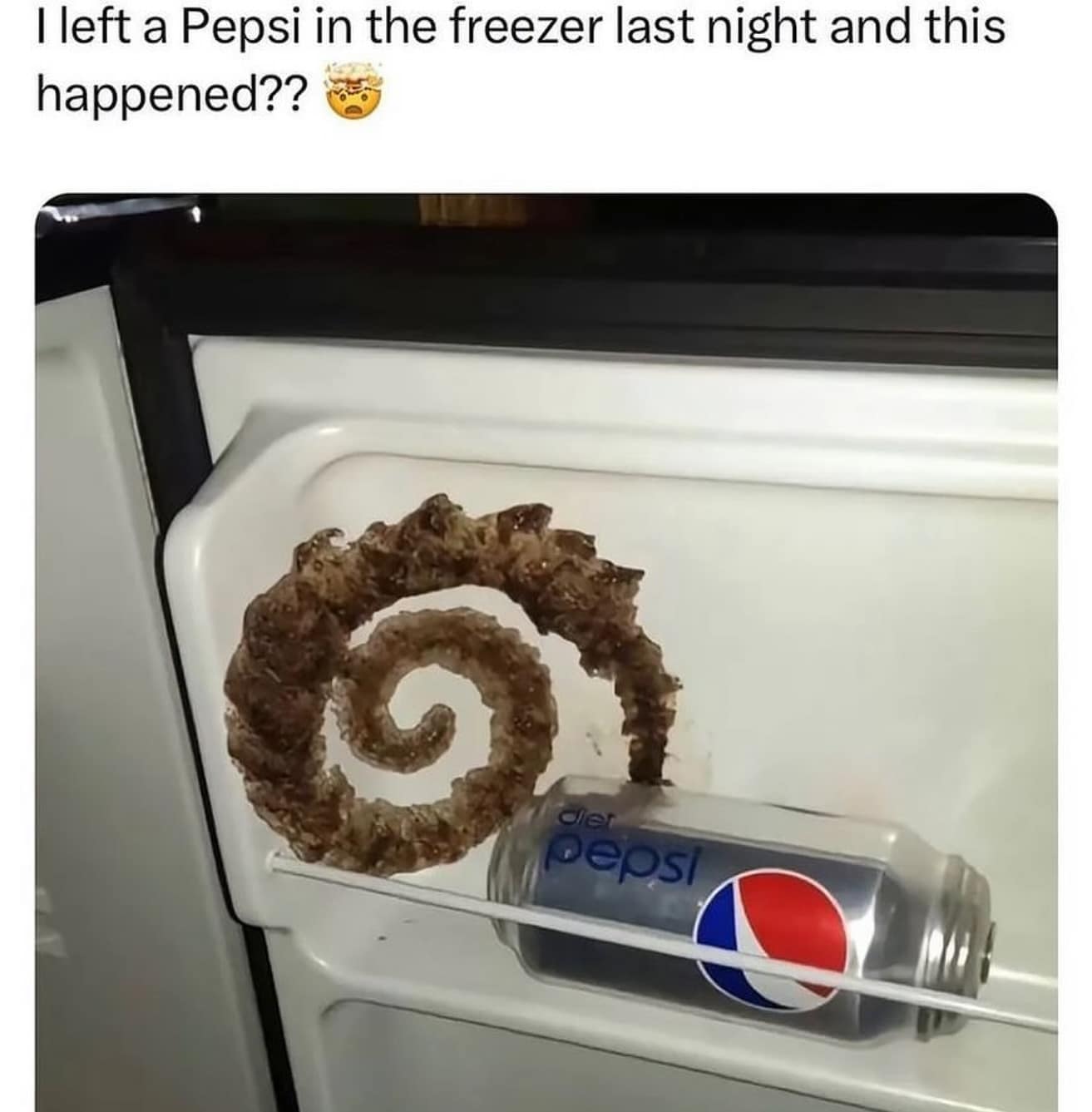 meme dump, hilarious memes