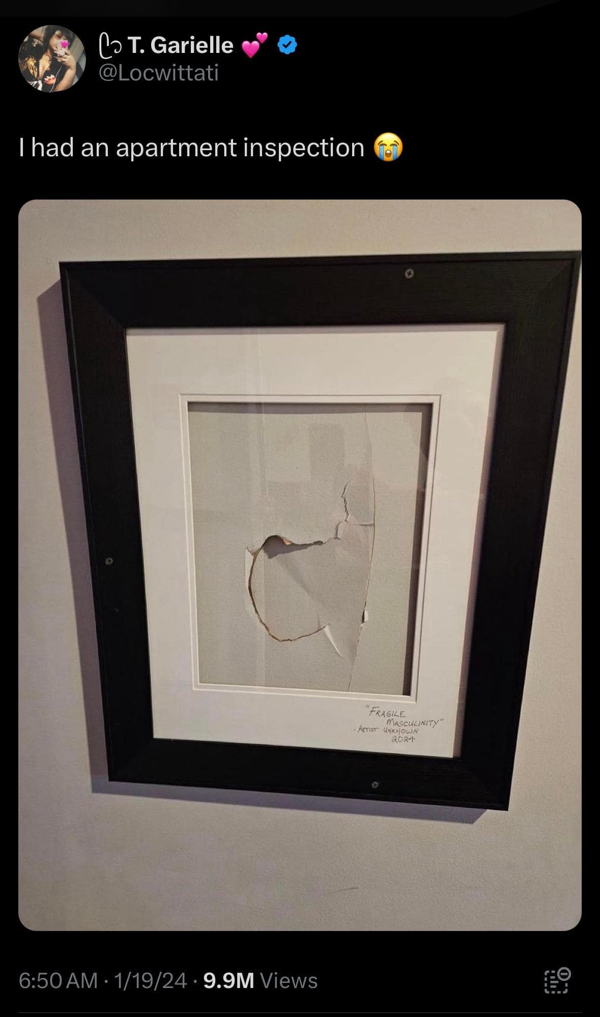 meme dump, hilarious memes