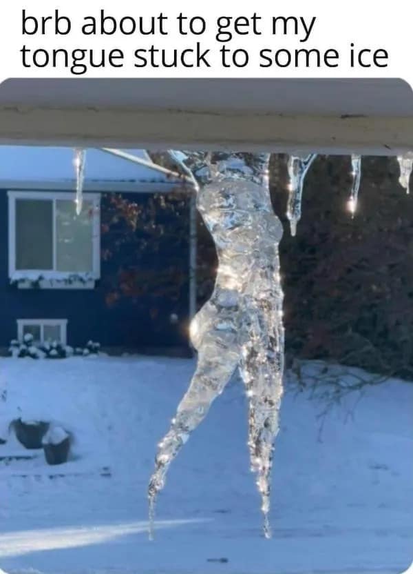 meme dump, daily humor