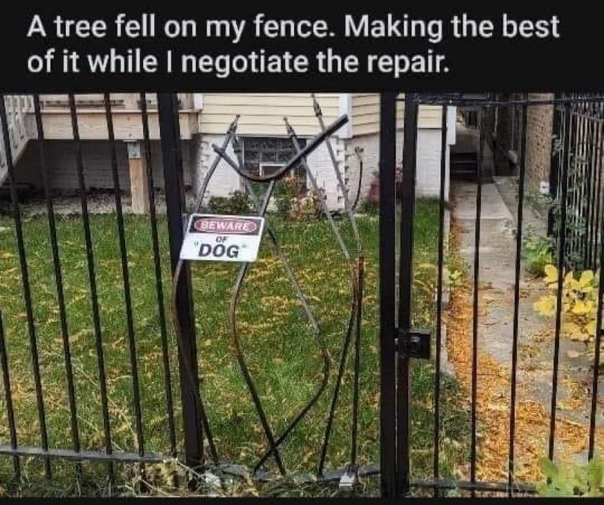 meme dump, daily humor