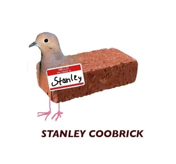 meme dump, daily humor