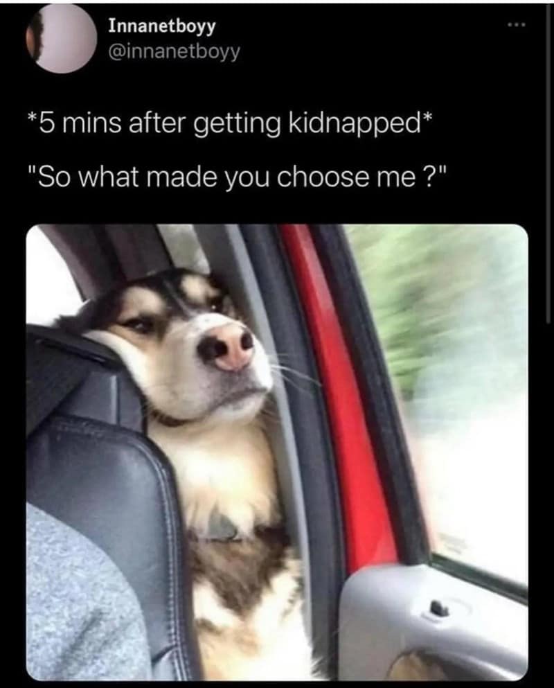 meme dump, hilarious memes