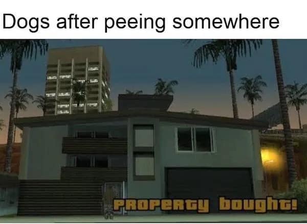 meme dump, daily humor