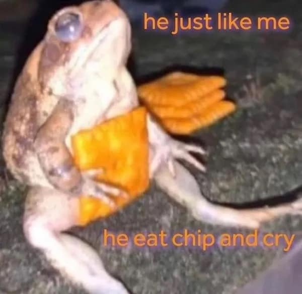 meme dump, daily humor