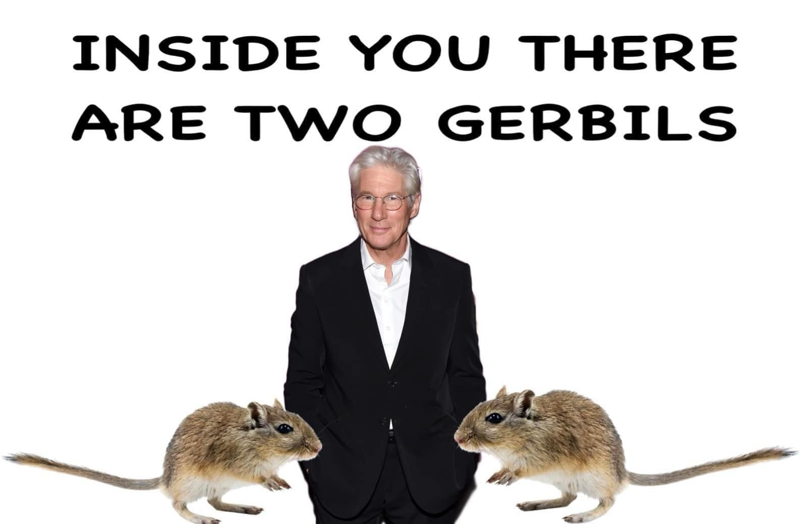 meme dump, hilarious memes