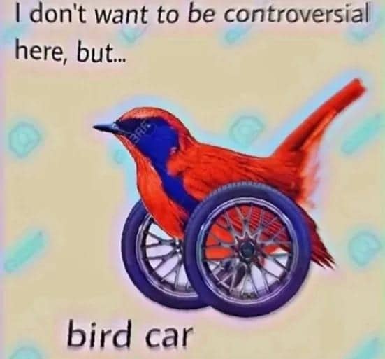 meme dump, hilarious memes