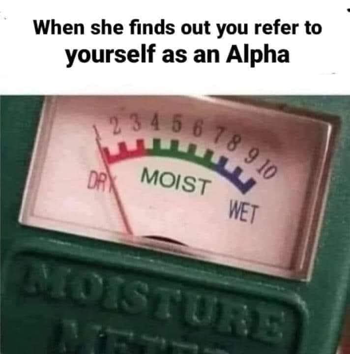 meme dump, hilarious memes