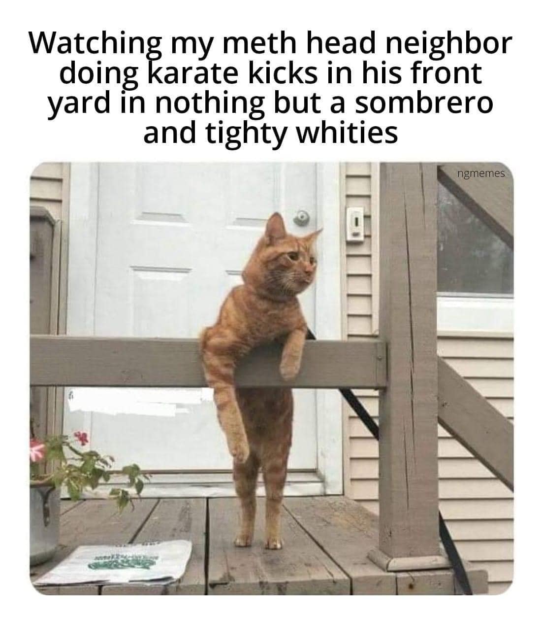 meme dump, hilarious memes