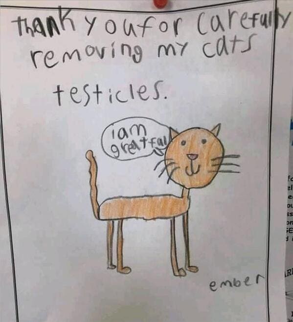 meme dump, hilarious memes