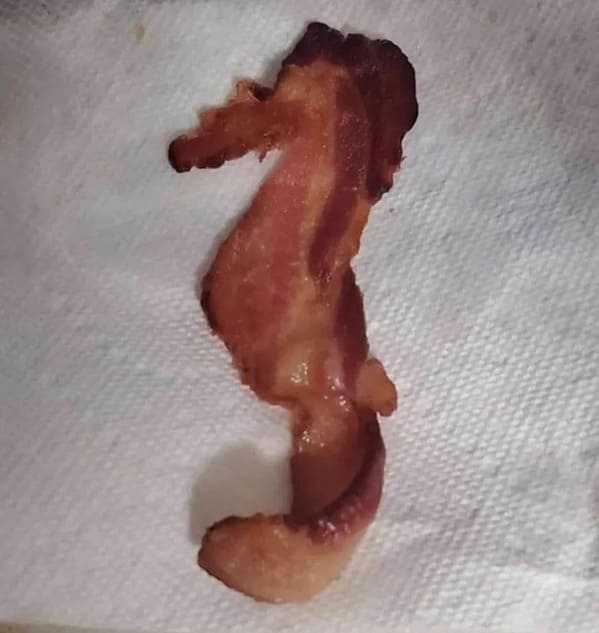 Messed up foods seahorse bacon