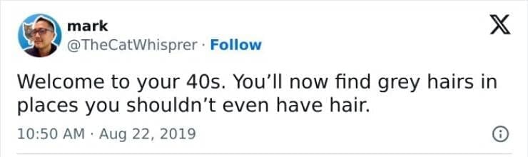Midlife crisis memes Welcome to your 40s. You'll now find grey hairs in places you shouldn't even have hair.
