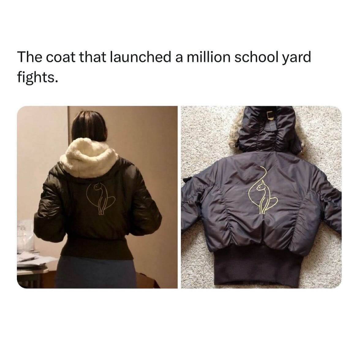 Millennial memes The coat that launched a million school yard fights.
