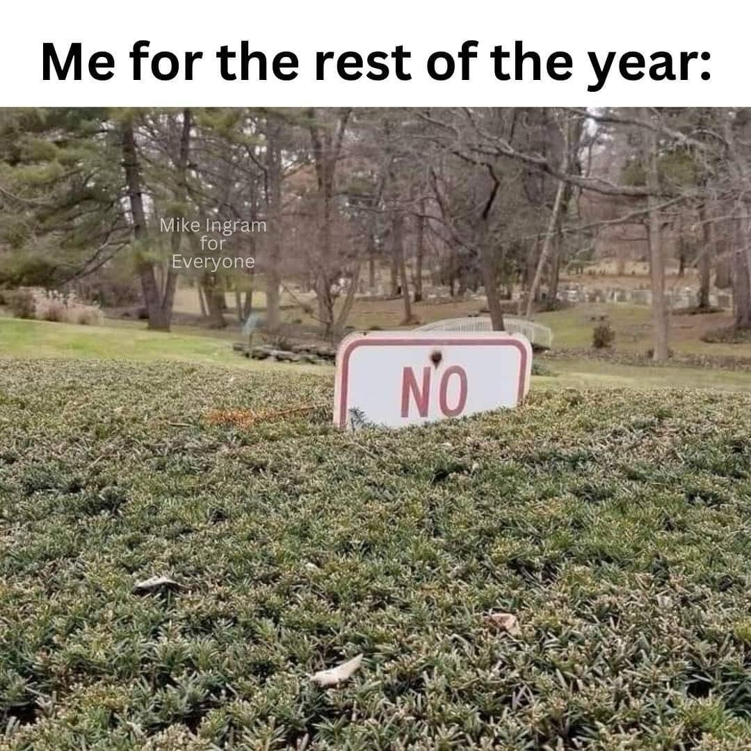 Millennial memes Me for the rest of the year: No
