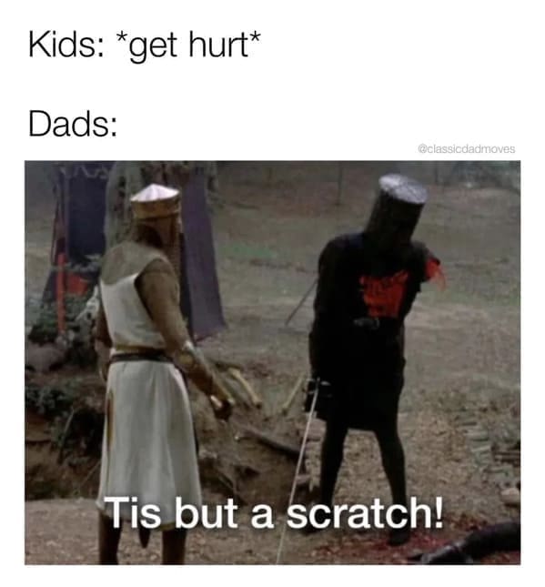 Nerdy dad jokes Kids: *get hurt* Dads: @classicdadmoves Tis but a scratch!