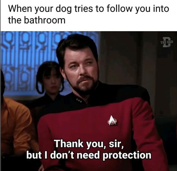 Nerdy dad jokes When your dog tries to follow you into the bathroom THE DAU Thank you, sir, but I don't need protection