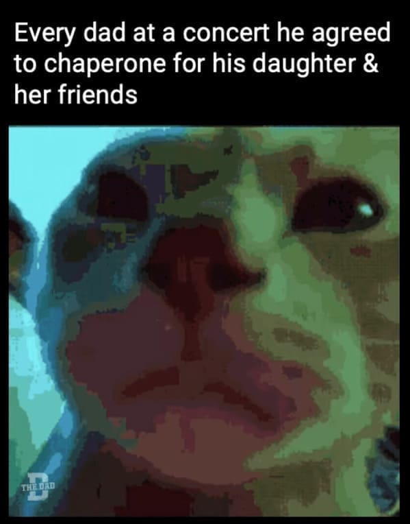 Nerdy dad jokes Every dad at a concert he agreed to chaperone for his daughter & her friends