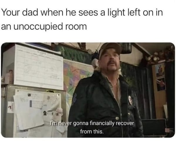 Nerdy dad jokes Your dad when he sees a light left on in an unoccupied room Im never gonna financially recover from this.