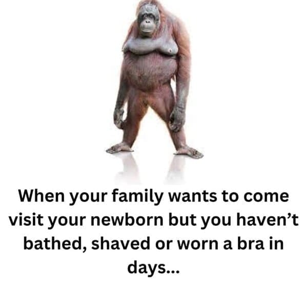 New parent memes When your family wants to come visit your newborn but you haven't bathed, shaved or worn a bra in days...