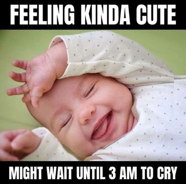 New parent memes FEELING KINDA CUTE MIGHT WAIT UNTIL 3 AM TO CRY