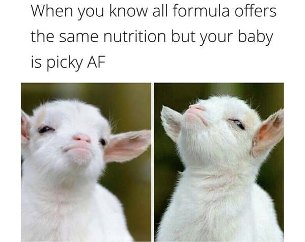 New parent memes When you know all formula offers the same nutrition but your baby is picky AF