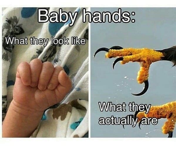 New parent memes Baby hands: What they look like What they actually are
