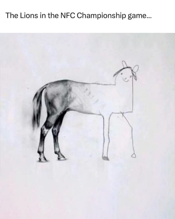 NFL memes The Lions in the NFC Championship game...