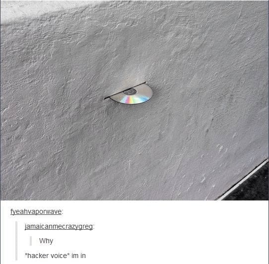 oddly specific memes DVD CD in wall Why *hacker voice* im in