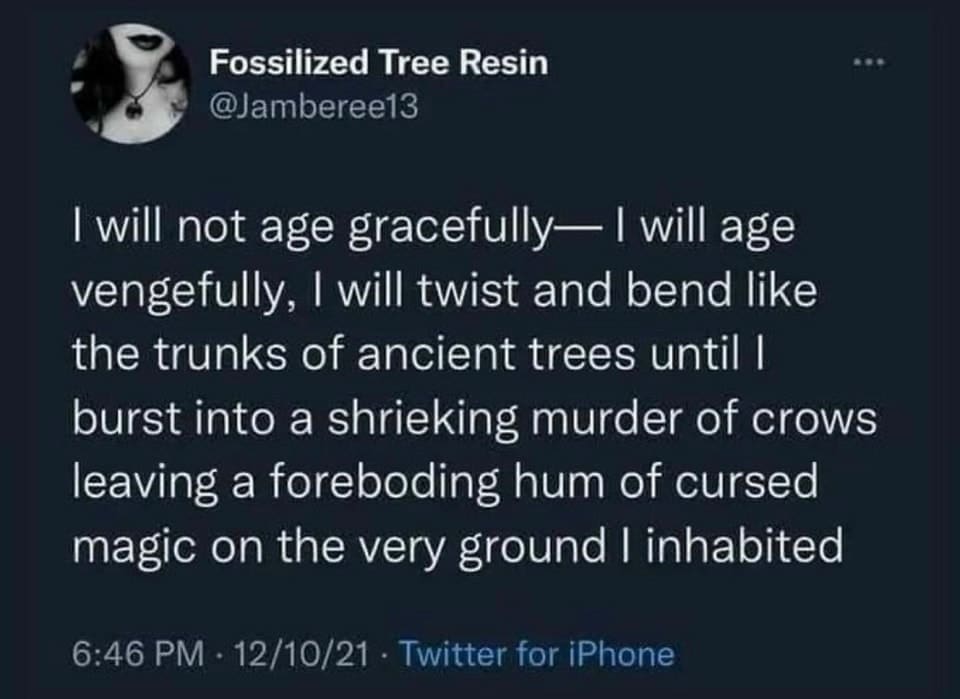 Ominous Positivity Memes I will not age gracefully— I will age vengefully, I will twist and bend like the trunks of ancient trees until l burst into a shrieking murder of crows leaving a foreboding hum of cursed magic on the very ground I inhabited