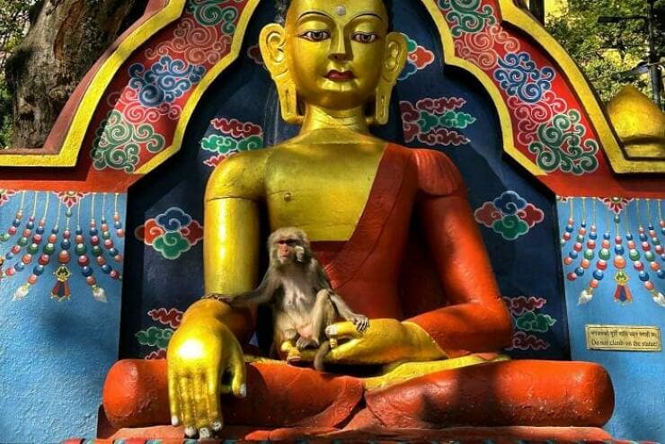 perfectly timed photos, impeccable photography moments