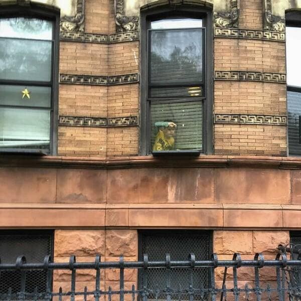 perfectly timed photos, impeccable photography moments