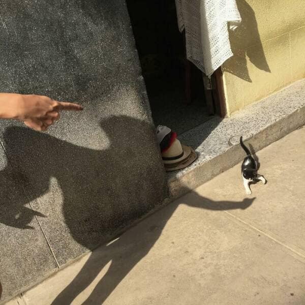 perfectly timed photos, impeccable photography moments