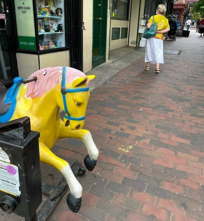 perfectly timed photos, impeccable photography moments