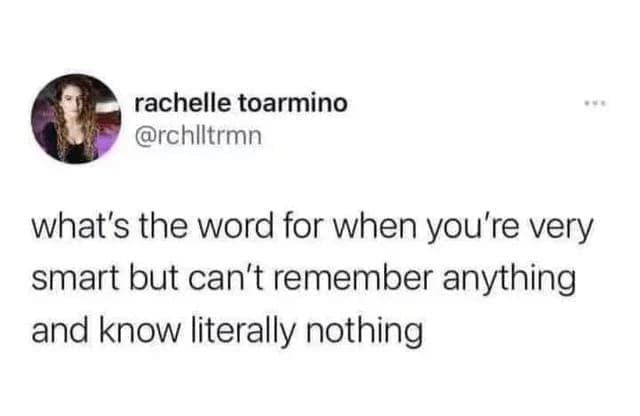 Procrastination Memes what's the word for when you're very smart but can't remember anything and know literally nothing