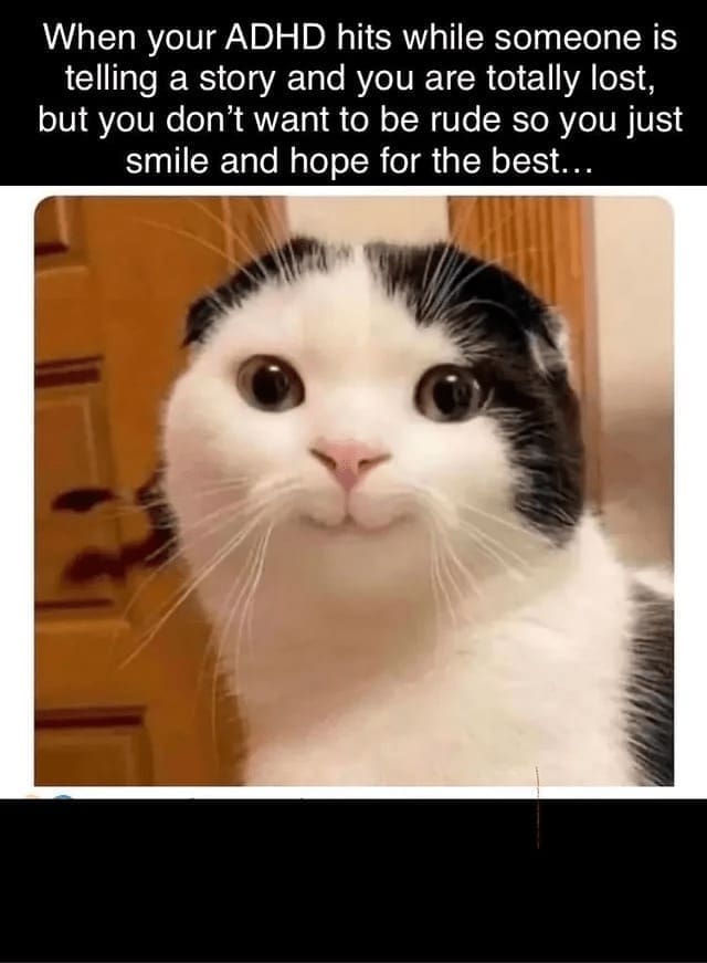 Procrastination Memes When your ADHD hits while someone is telling a story and you are totally lost, but you don't want to be rude so you just smile and hope for the best...