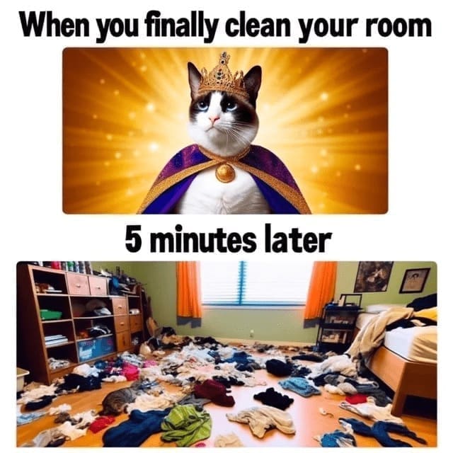 Procrastination Memes When you finally clean your room 5 minutes later