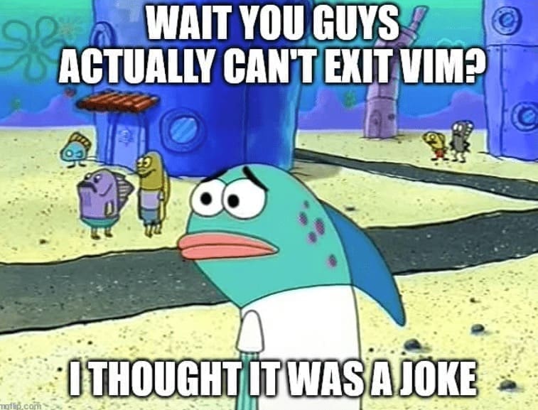 programming memes WAIT YOU GUYS ACTUALLY CAN'T EXIT VIMP I THOUGHT IT WAS A JOKE