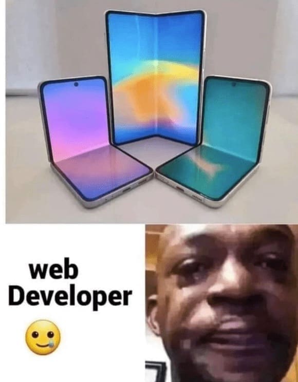 programming memes web Developer foldable screens
