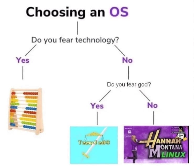 programming memes Choosing an OS Do you fear technology? Yes No Do you fear god? Yes No TenpleOS HANNAN TONTANA M ILINUX