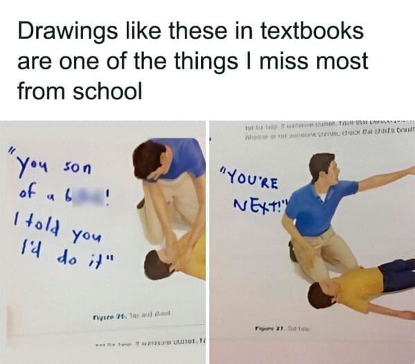pun memes Drawings like these in textbooks are one of the things I miss most from school You son of a l 170/d 14 You do ;"