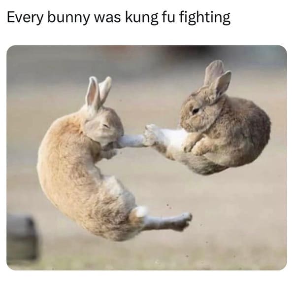 pun memes Every bunny was kung fu fighting