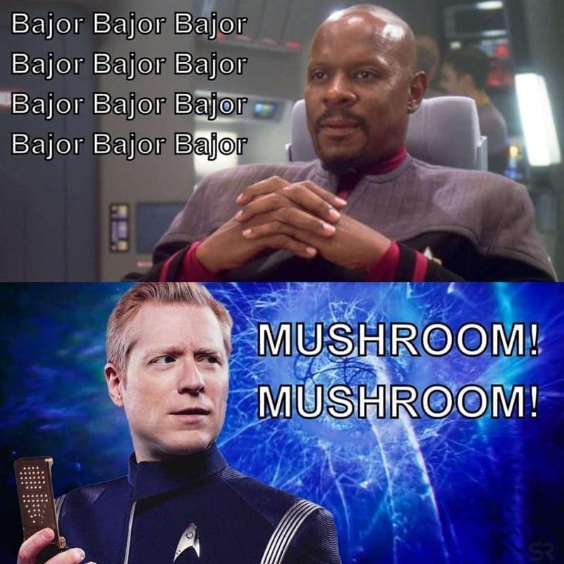Puns Using Song Lyrics Bajor Bajor Bajor Bajor Bajor Bajor Bajor Bajor Bajor Bajor Bajor Bajor MUSHROOM! MUSHROOM!