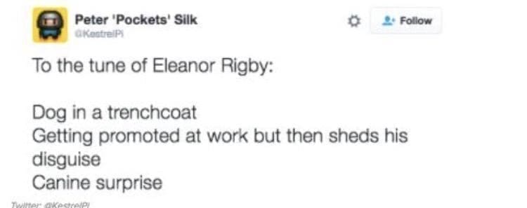 Puns Using Song Lyrics To the tune of Eleanor Rigby: Dog in a trenchcoat Getting promoted at work but then sheds his disguise Canine surprise