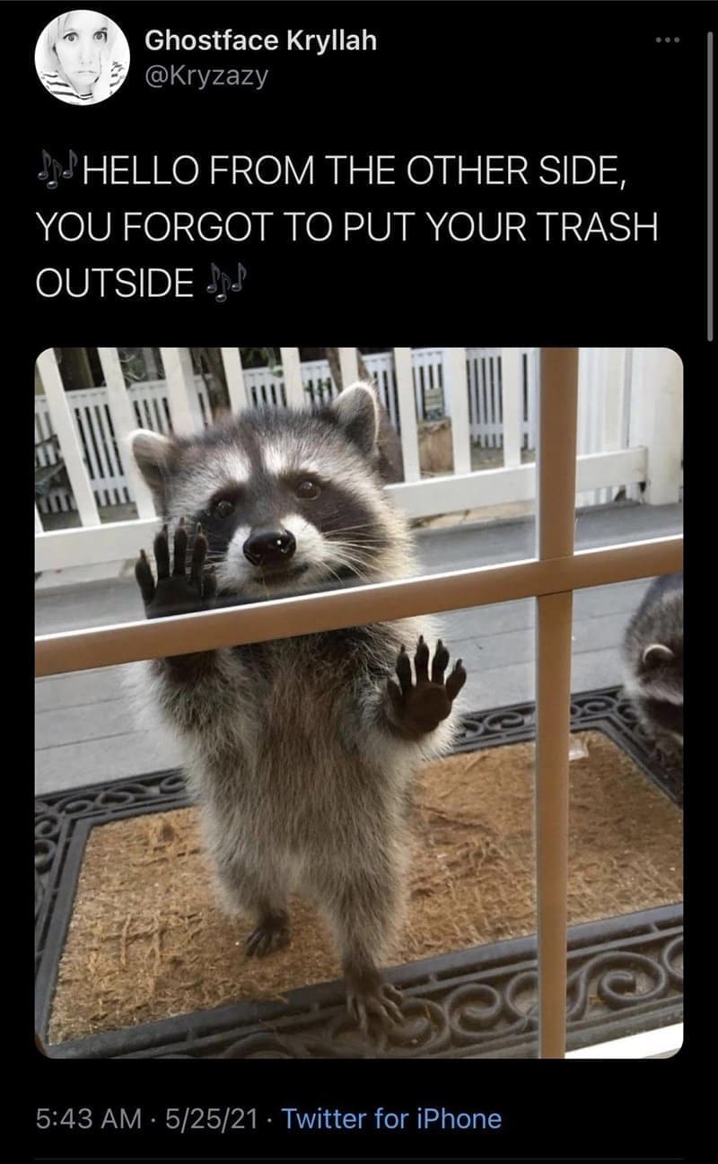 Puns Using Song Lyrics HELLO FROM THE OTHER SIDE, YOU FORGOT TO PUT YOUR TRASH OUTSIDE