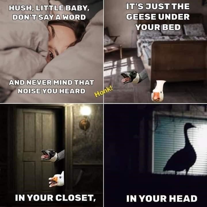 Puns Using Song Lyrics HUSH, LITTLE BABY, DON'T SAY A WORD IT'S JUST THE GEESE UNDER YOUR BED AND NEVER MIND THAT NOISE YOU HEARD Honk! IN YOUR CLOSET, IN YOUR HEAD