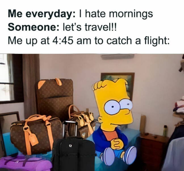 Quarter Life Crisis Memes Me everyday: I hate mornings Someone: let's travel!! Me up at 4:45 am to catch a flight: