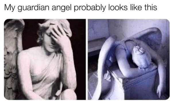 relatable memes, everyday humor