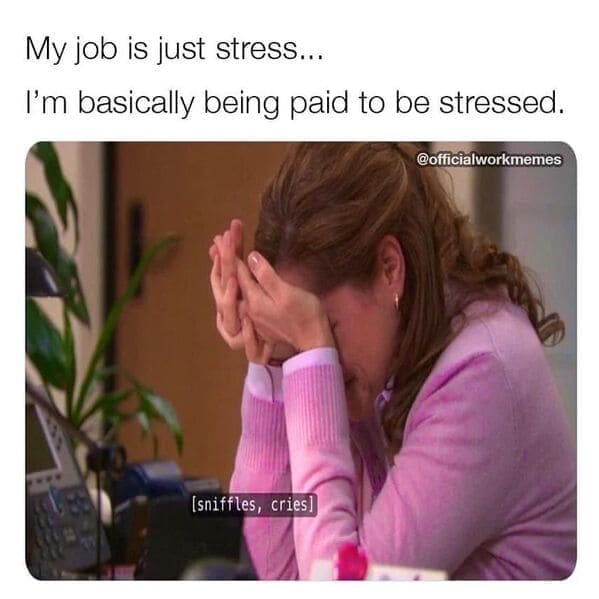 Relatable work memes My job is just stress... I'm basically being paid to be stressed.