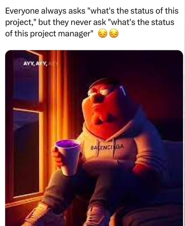 Relatable work memes Everyone always asks "what's the status of this project," but they never ask "what's the status of this project manager"